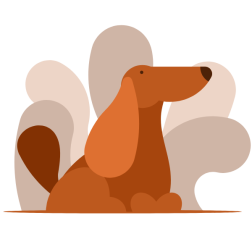 A cute dog