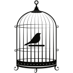 Bird in cage