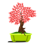 Bonsai-1574687887