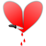 Heart sliced with a knife vector image