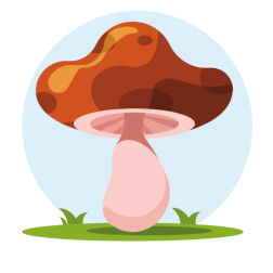 A mushroom