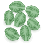 Brussel sprouts vector image