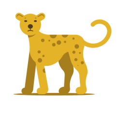 A cheetah