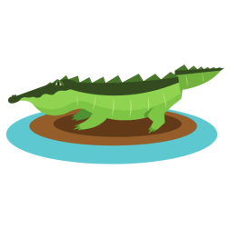 A crocodile