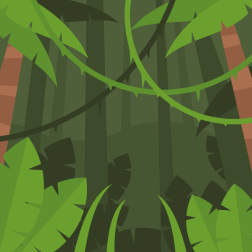 Deep forest landscape