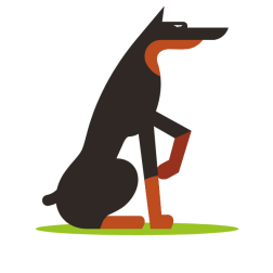 Dobermann dog