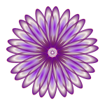 Purple daisy