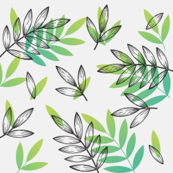 Foliage leaves and branches