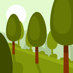 Forest trees