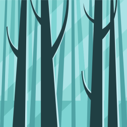 Trees in the forest