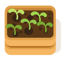 Gardening young plants