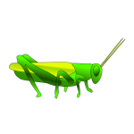 Grasshopper image