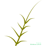 Vector graphics of green plant growing to the side