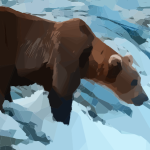Grizzly in a river