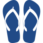 havaianas29