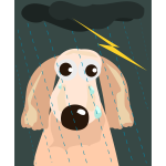 Sad dog in the rain