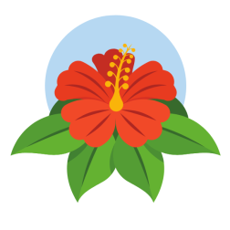Red hibiscus flower