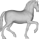 Walking horse