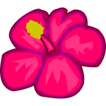 Pink flower