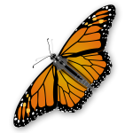 Spotty butterfly vector graphics
