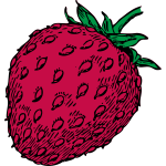 Vector drawing of red strawberry fruit