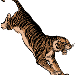 Jumping tiger