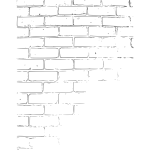 White brick border detail vector image
