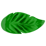 Green Tropical Leaf