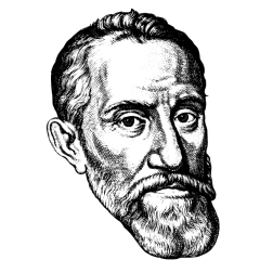 man 66