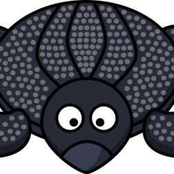 Leatherback Turtle