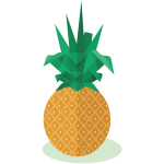 Pineapple fruit-1574260012
