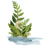 Vector graphics of selection of plants in water