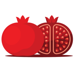 Pomegranate fruit-1751908590