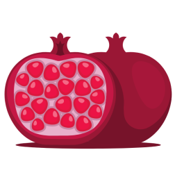 A pomegranate fruit