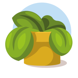 Potted plant with big green leaves