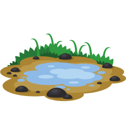 A small pool of rainwater