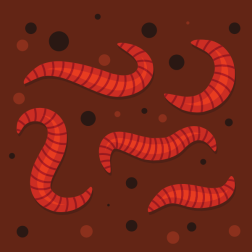 Worms
