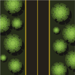 Road in the forest from above