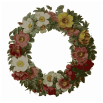 rose wreath color