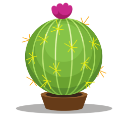 Round cactus plant