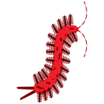 scolopendra