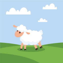 A cute sheep