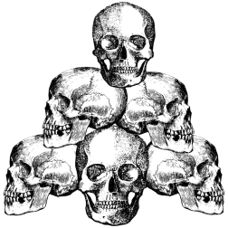 pile of skulls