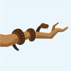 Snake on the branch