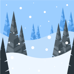 Snow in mountain forest