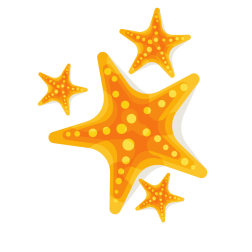Starfish-1778414600