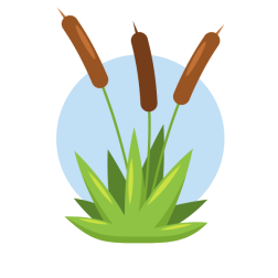 Reed plant