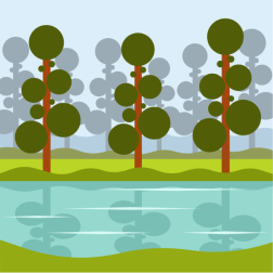 Swamp landscape