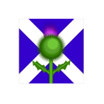 Scottish thistle and flag vector image