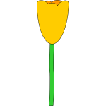 Yellow tulip